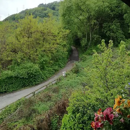 La Casa Delle Farfalle Homestay Trento