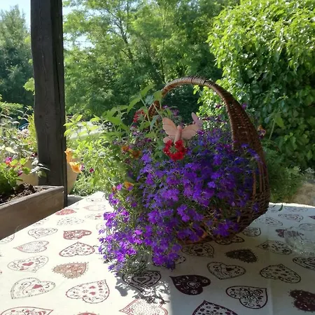 Séjour chez l'habitant La Casa Delle Farfalle